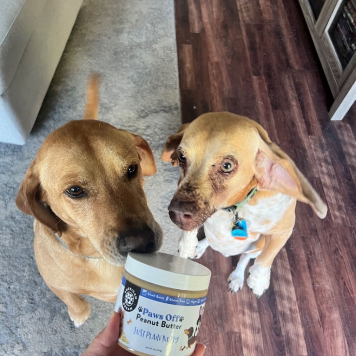 Gluten-Free Paws Off Just Plain Nutty Peanut Butter