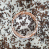 Gluten-Free Chocolate Coconut Truffle Almond Butter